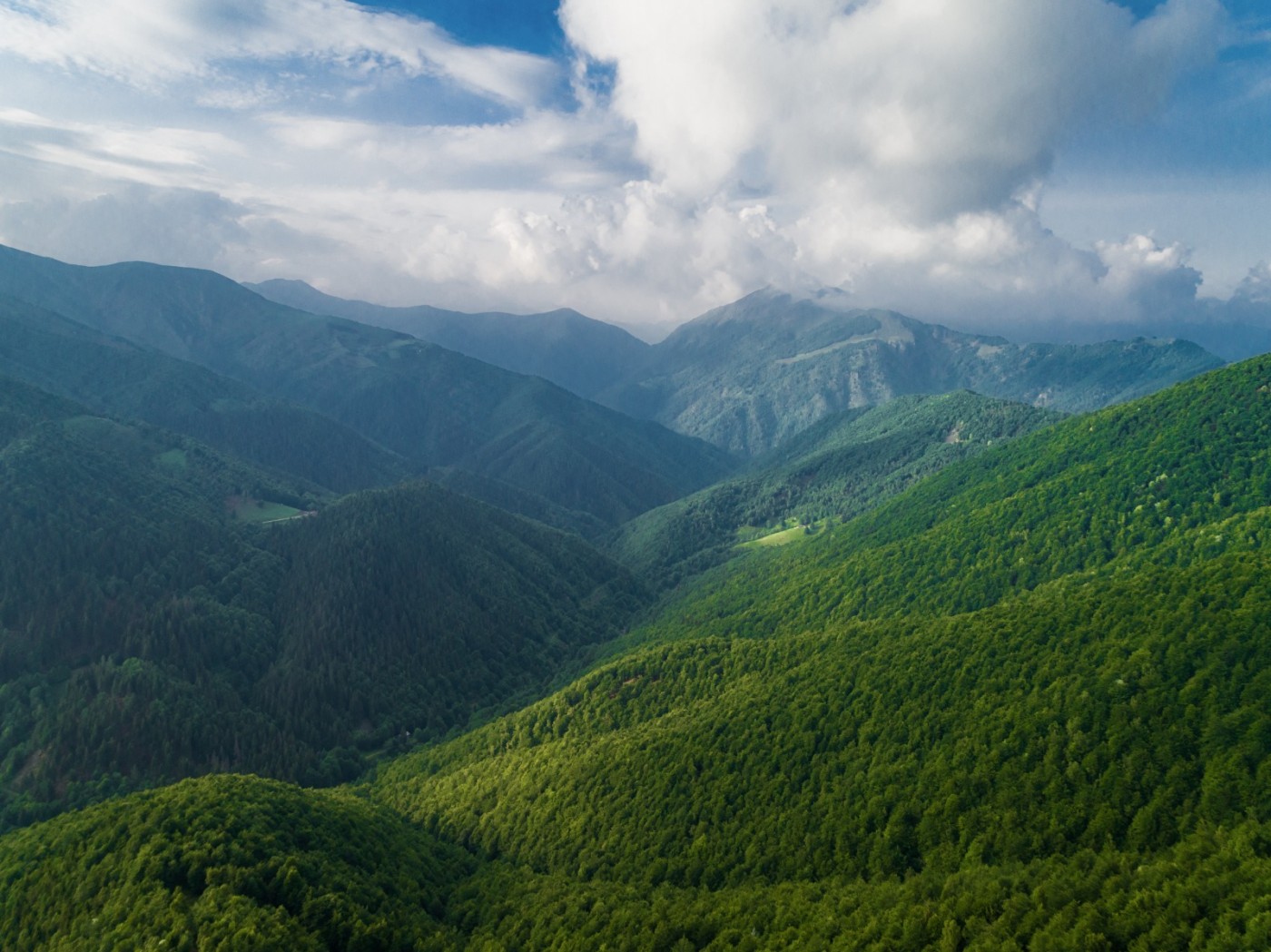 Forest Bathing, benessere profondo nei boschi