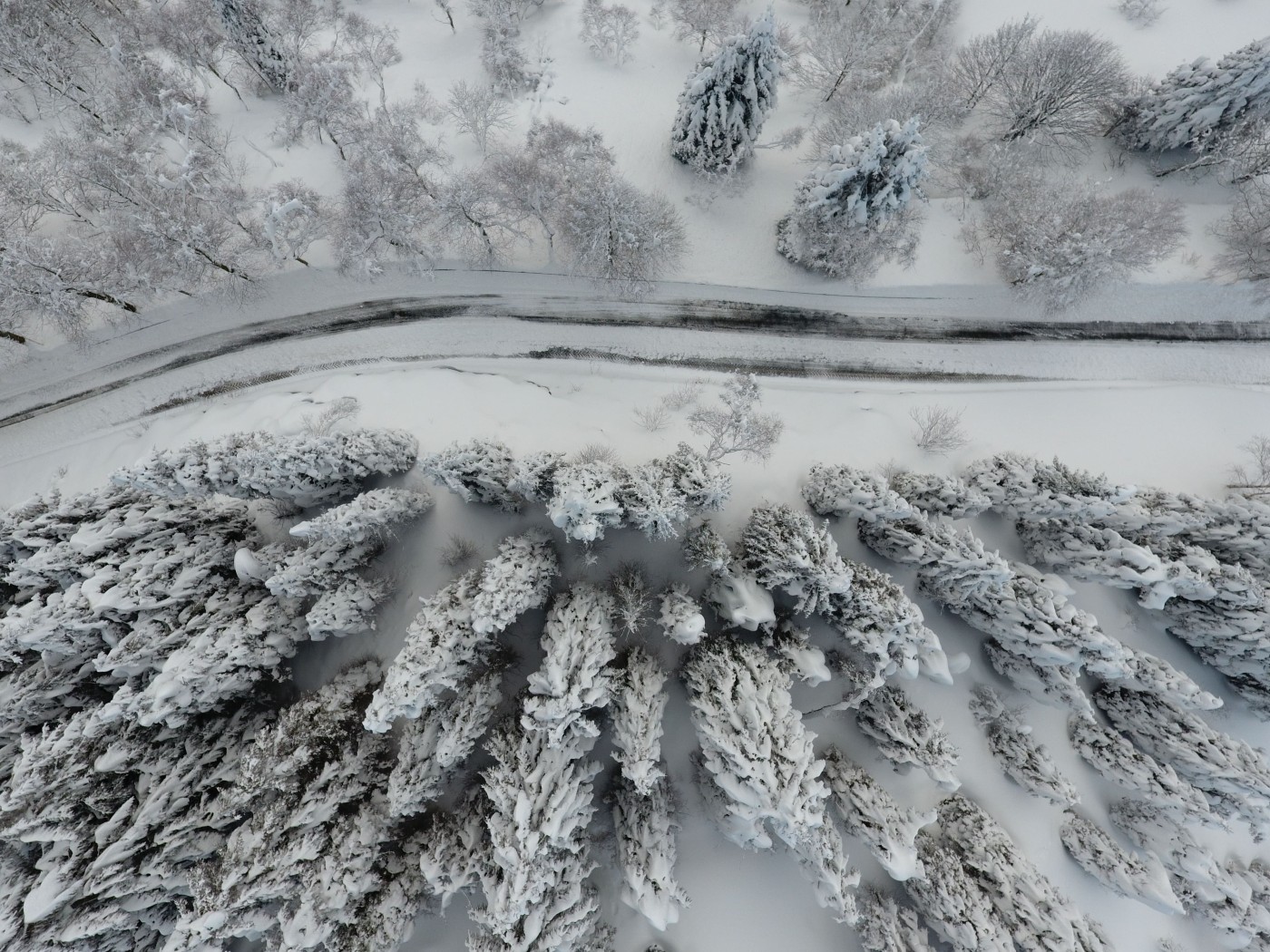 STRADA PANORAMICA ZEGNA CHIUSA PER NEVE