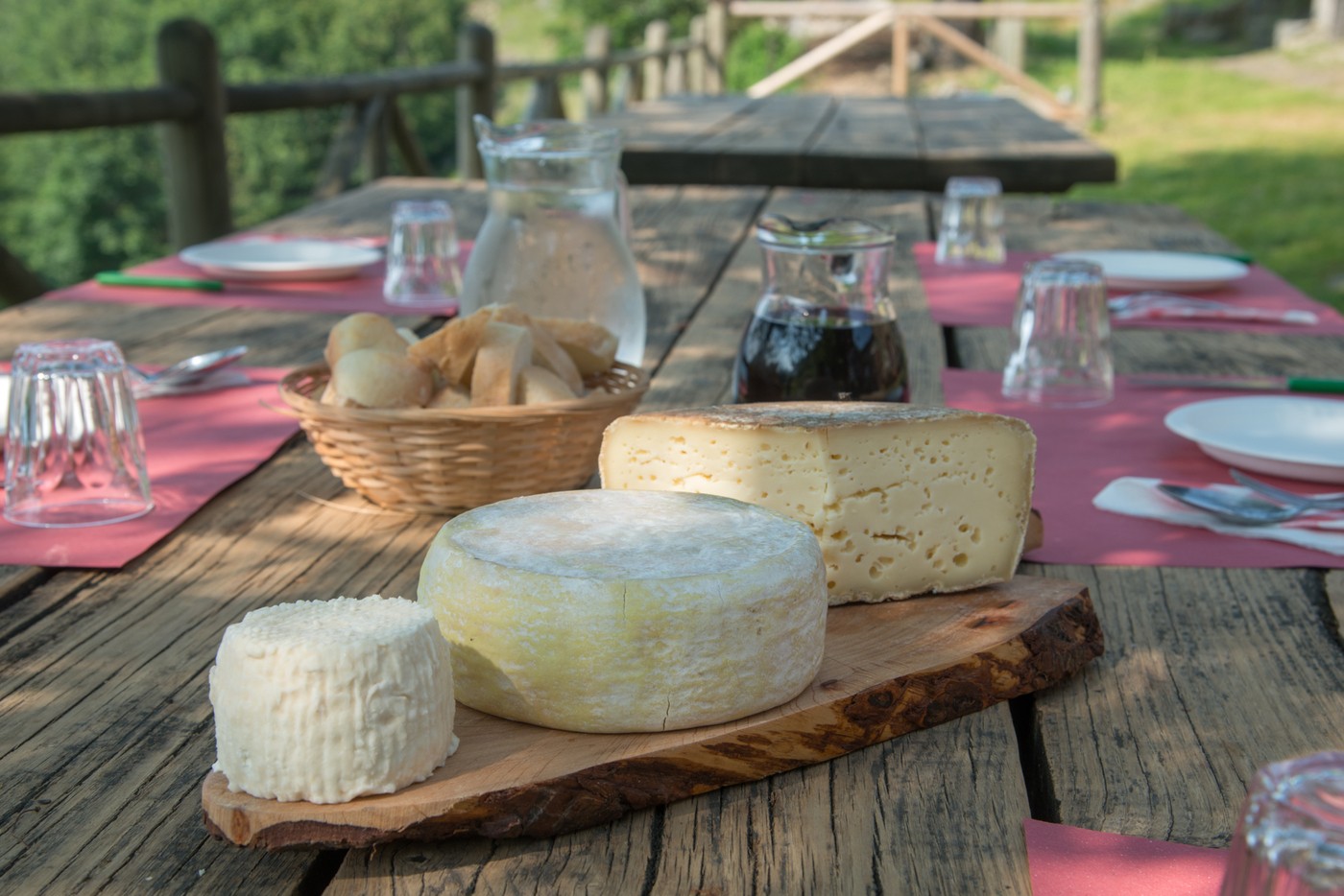Biella cheeses: keys facts from the diary