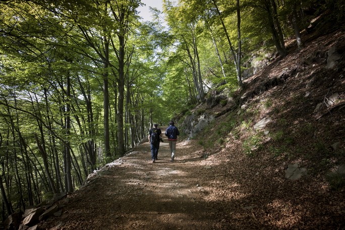 BENESSERE VERDE ALL'OASI ZEGNA