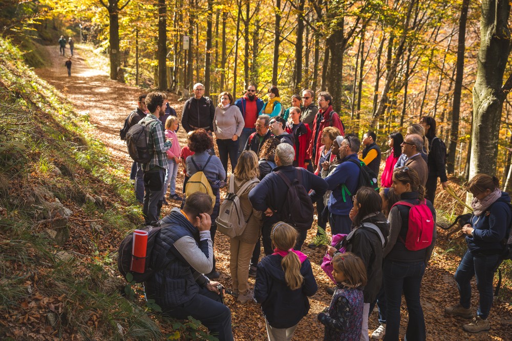 Tombola nel Bosco