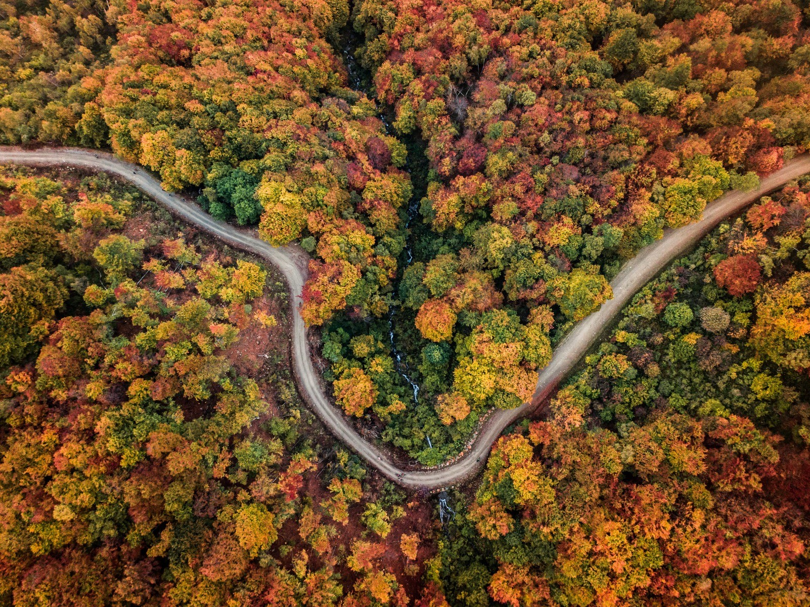 Paesaggi d'Autunno