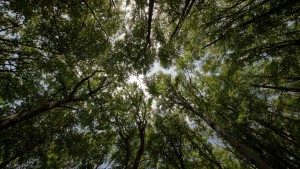10 esperienze di benessere in natura
