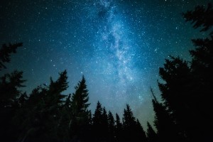 Dovere ammirare le stelle in Oasi Zegna
