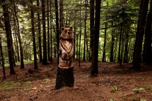 THE ANIMATED WOOD: COME AND DISCOVER THE INHABITANTS