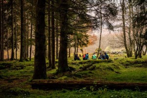 RICHIAMO DEL BOSCO (THE CALL OF THE FOREST): IMMERSIONS IN N