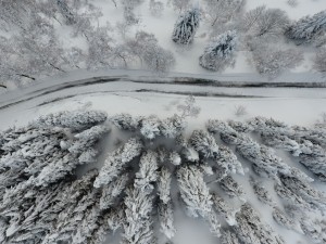 Zegna Panoramic Road: partial reopening