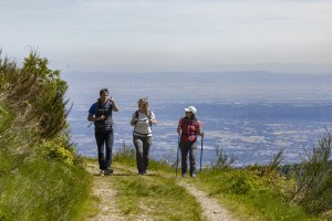 Riaperte le iscrizioni al Cammino di Ermenegildo