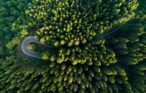 How to reach  Oasi Zegna and Bielmonte