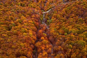 L’autunno in Oasi Zegna