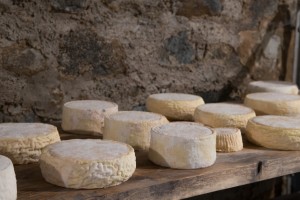 Biella cheeses: keys facts from the dairy
