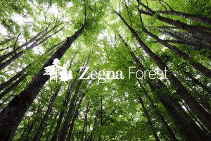 ‘ZEGNA FOREST’, A PROJECT TO PROTECT WOODLANDS