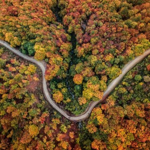 AUTUMN’S MAGIC