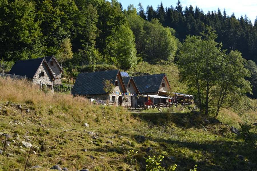 Workshop in città