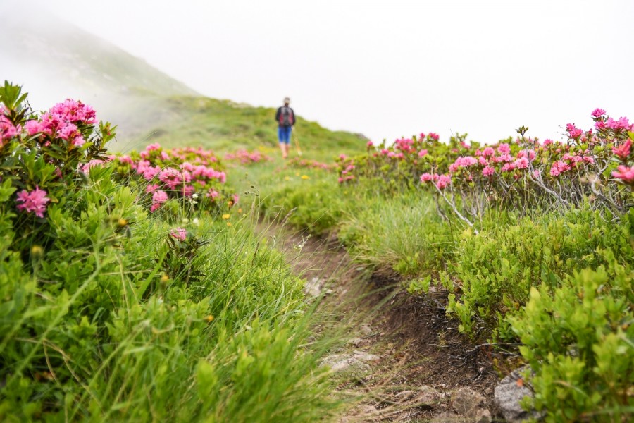 Pera Furà, una finestra naturale, attrazione della passeggiata