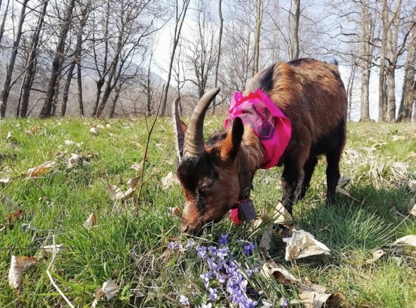 Foto dal profilo Instagram della Ca' nel Bosco