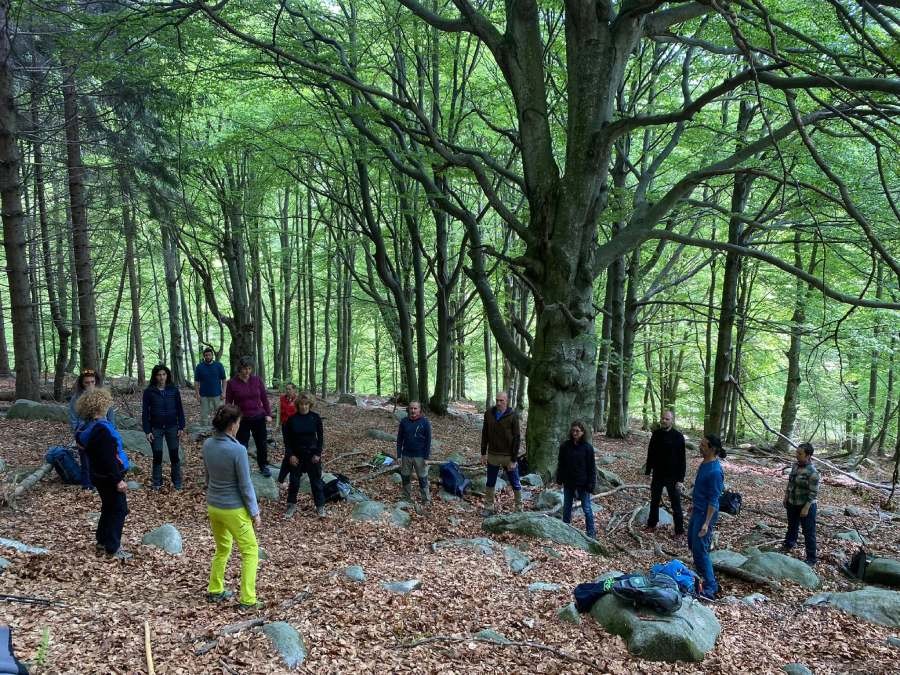 forest bathing oasi zegna
