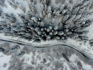 Panoramica Zegna: a journey in 10 stages