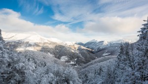 DOMANDE E RISPOSTE PER UNA PRIMA VISITA ALL’OASI ZEGNA