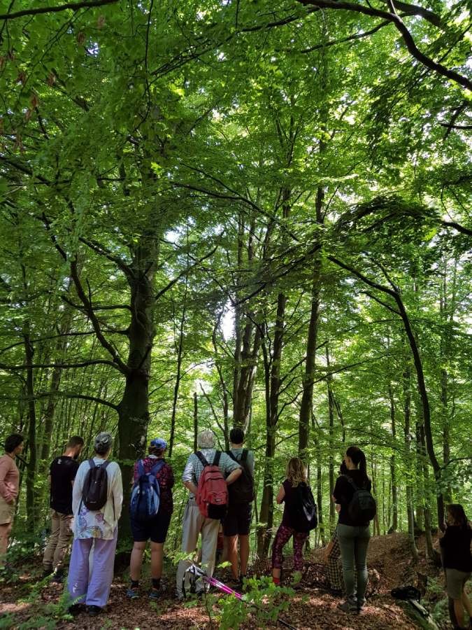 Forest Bathing Solstiziale Oasi Zegna
