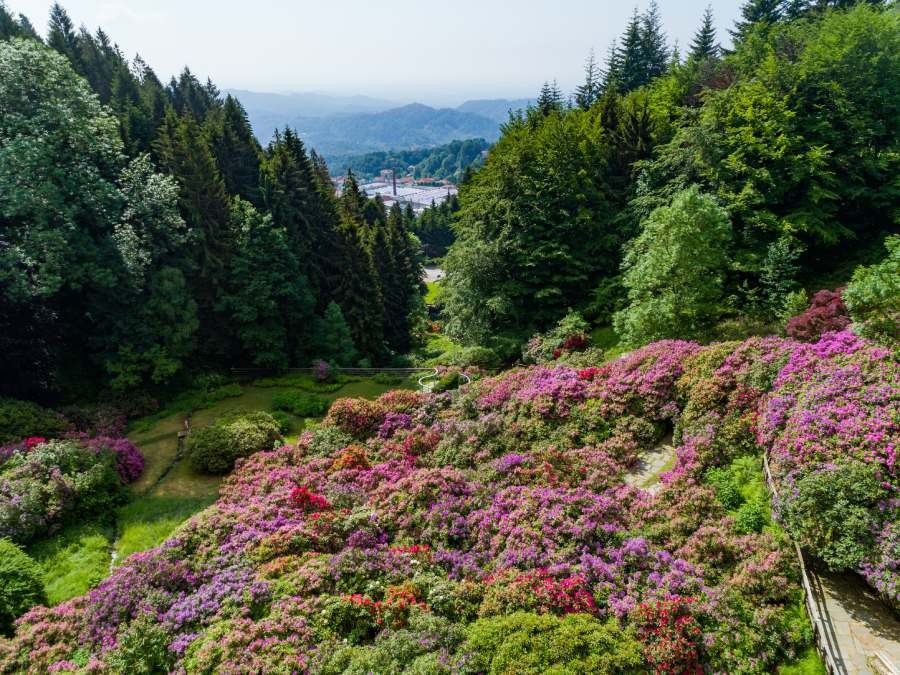 Conca dei Rododendri e Lanificio Zegna