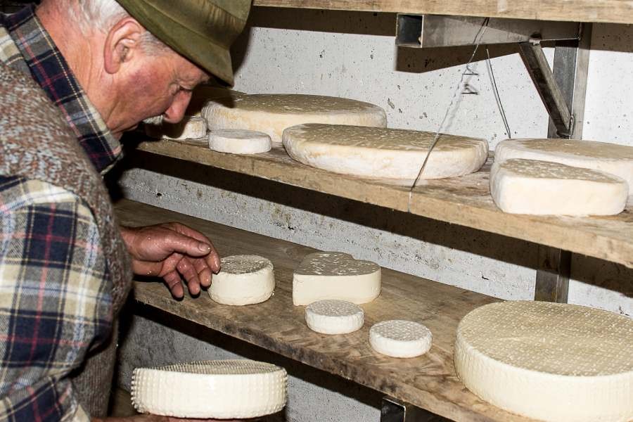 Il formaggio dell'Alpe