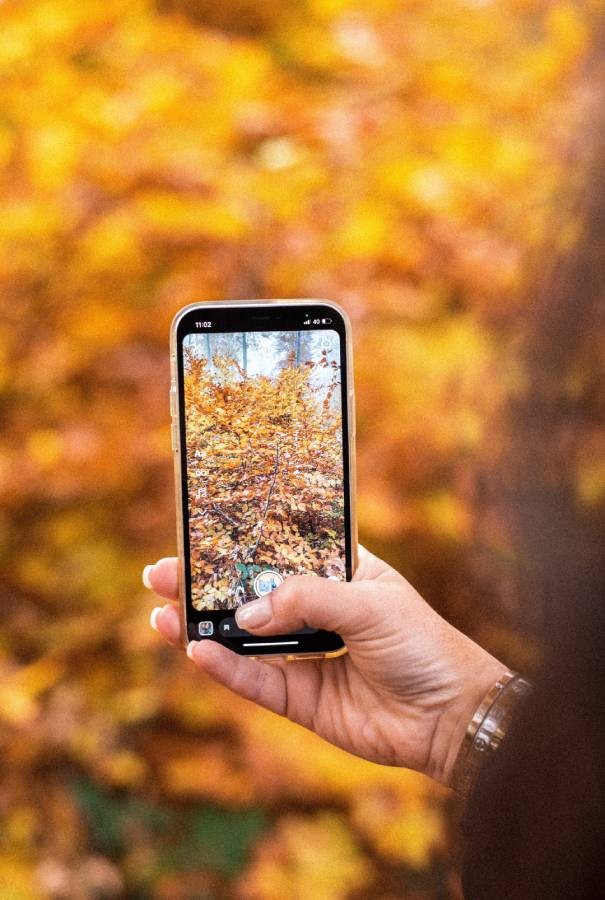 Corso di fotografia con lo smartphone in Oasi Zegna