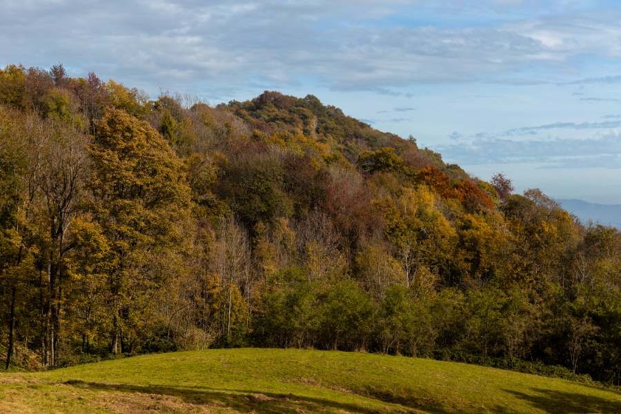 Autunno in brughiera