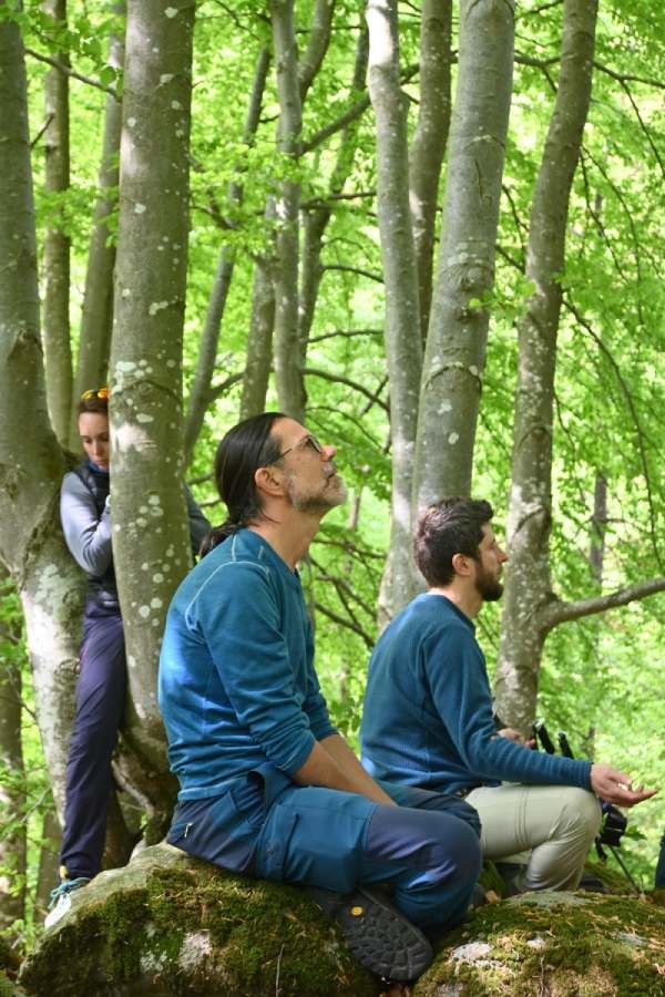 forest bathing oasi zegna