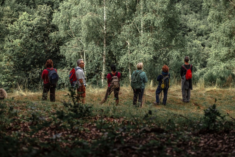 FOREST BATHING, WELLBEING AND NATURE IN OASI ZEGNA